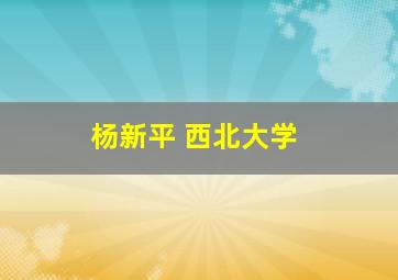 杨新平 西北大学